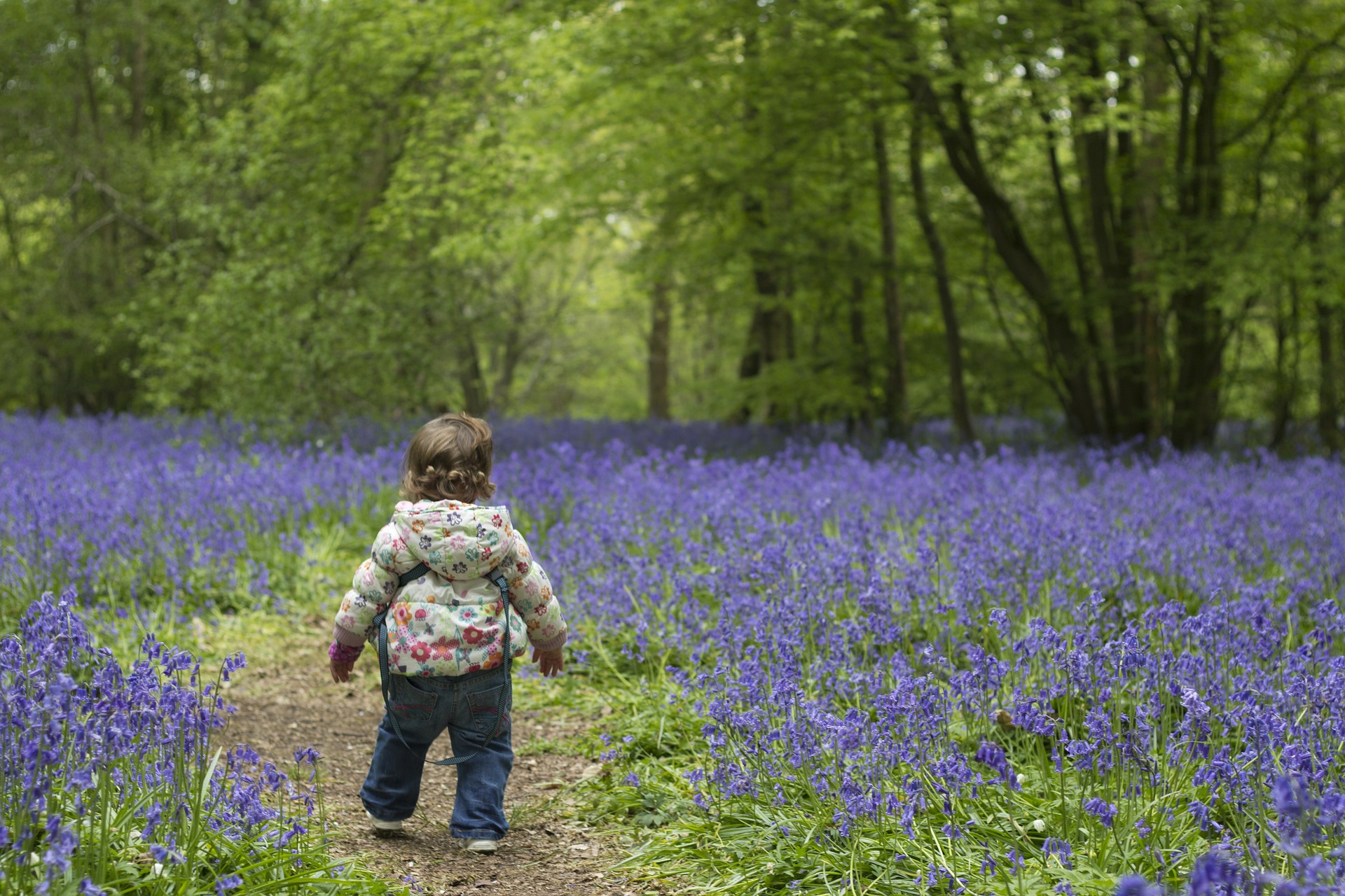 Clocks Go Forward Archives Child Baby Sleep Specialists Millpond 